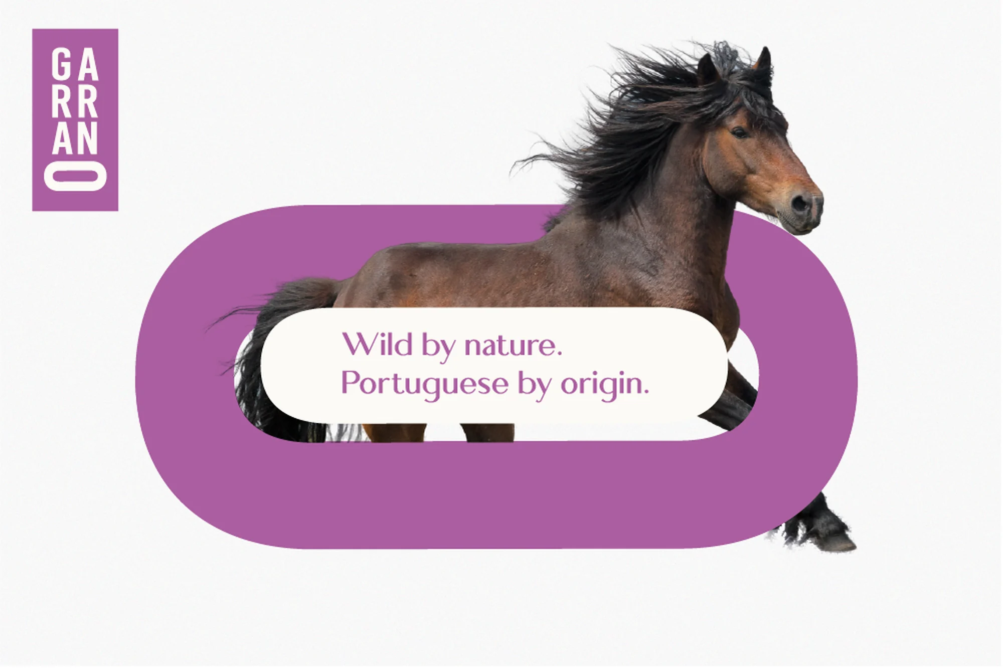 Garrano — le garrano, cheval sauvage du nord du Portugal : wild by nature, Portuguese by origin